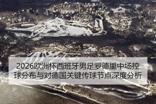 2026欧洲杯西班牙男足罗德里中场控球分布与对德国关键传球节点深度分析